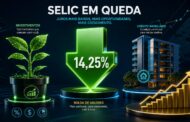 Análise da redução da Selic para 14,25% ao ano e seus efeitos sobre investimentos e crédito